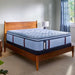 Sealy Posturepedic Pro Spring Dupont II 15" Soft Euro Pillowtop Mattress - product view